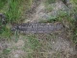 image of grave number 417126